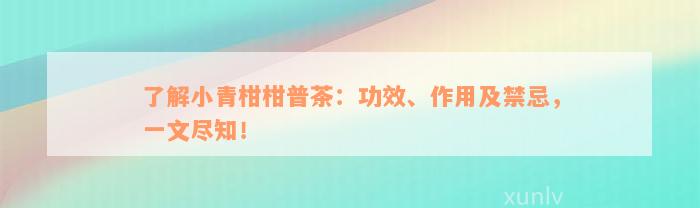 了解小青柑柑普茶：功效、作用及禁忌，一文尽知！