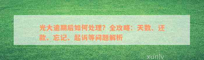 光大逾期后如何处理？全攻略：天数、还款、忘记、起诉等问题解析