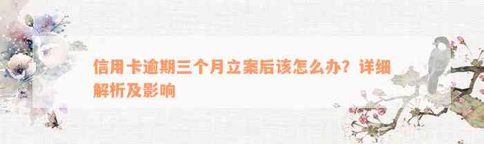 信用卡逾期三个月立案后该怎么办？详细解析及影响