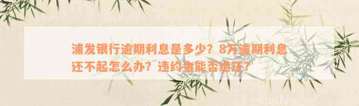 浦发银行逾期利息是多少？8万逾期利息还不起怎么办？违约金能否退还？