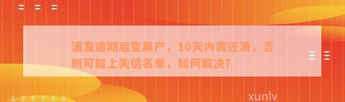 浦发逾期后变黑户，10天内需还清，否则可能上失信名单，如何解决？