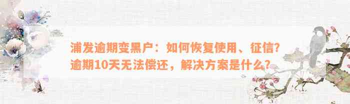 浦发逾期变黑户：如何恢复使用、征信？逾期10天无法偿还，解决方案是什么？