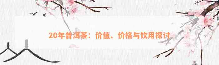 20年普洱茶：价值、价格与饮用探讨