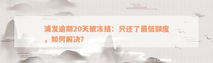 浦发逾期20天被冻结：只还了最低额度，如何解决？