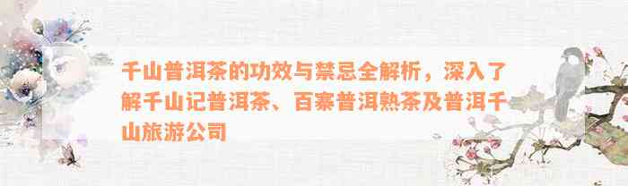 千山普洱茶的功效与禁忌全解析，深入了解千山记普洱茶、百寨普洱熟茶及普洱千山旅游公司