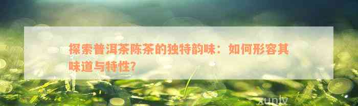 探索普洱茶陈茶的独特韵味：如何形容其味道与特性？