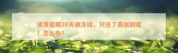 浦发逾期20天被冻结，只还了最低额度？怎么办？