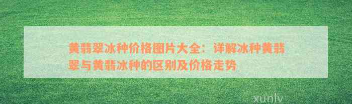 黄翡翠冰种价格图片大全：详解冰种黄翡翠与黄翡冰种的区别及价格走势