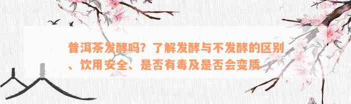 普洱茶发酵吗？了解发酵与不发酵的区别、饮用安全、是否有毒及是否会变质