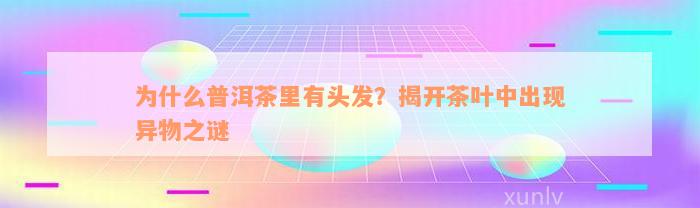 为什么普洱茶里有头发？揭开茶叶中出现异物之谜