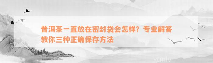 普洱茶一直放在密封袋会怎样？专业解答教你三种正确保存方法