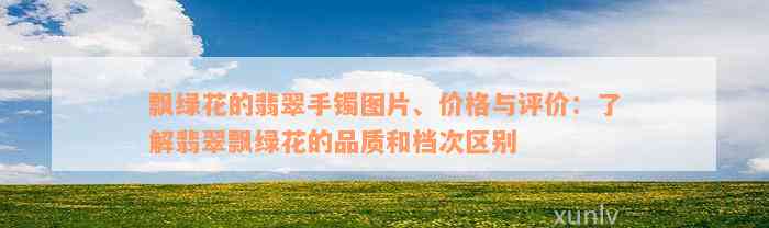 飘绿花的翡翠手镯图片、价格与评价：了解翡翠飘绿花的品质和档次区别