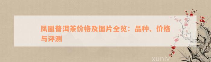 凤凰普洱茶价格及图片全览：品种、价格与评测