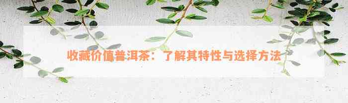 收藏价值普洱茶：了解其特性与选择方法