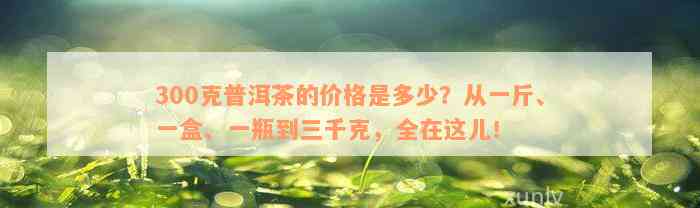 300克普洱茶的价格是多少？从一斤、一盒、一瓶到三千克，全在这儿！