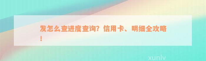 发怎么查进度查询？信用卡、明细全攻略！