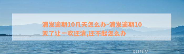 浦发逾期10几天怎么办-浦发逾期10天了让一吹还清,还不起怎么办