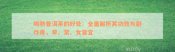 喝熟普洱茶的好处：全面解析其功效与副作用，早、常、女皆宜