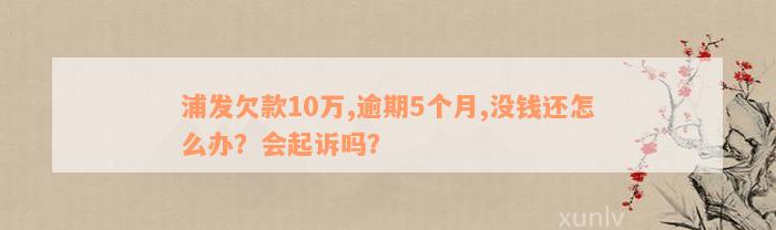 浦发欠款10万,逾期5个月,没钱还怎么办？会起诉吗？