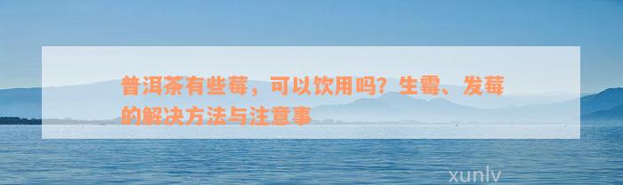 普洱茶有些莓，可以饮用吗？生霉、发莓的解决方法与注意事