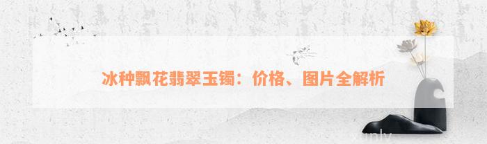 冰种飘花翡翠玉镯：价格、图片全解析