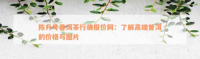 陈升号普洱茶行情报价网：了解高端普洱的价格与图片