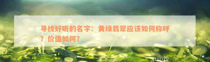 寻找好听的名字：黄绿翡翠应该如何称呼？价值如何？