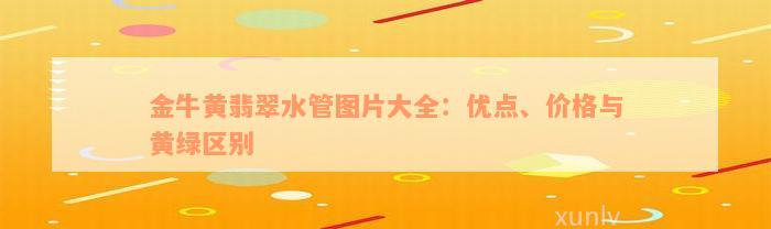 金牛黄翡翠水管图片大全：优点、价格与黄绿区别