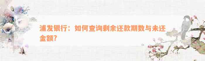 浦发银行：如何查询剩余还款期数与未还金额?