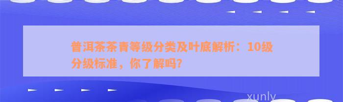 普洱茶茶青等级分类及叶底解析：10级分级标准，你了解吗？