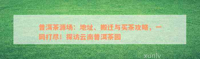 普洱茶源场：地址、搬迁与买茶攻略，一网打尽！探访云南普洱茶园