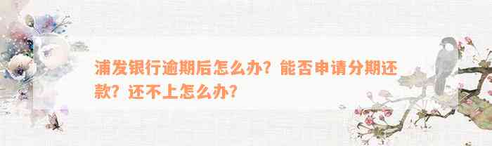 浦发银行逾期后怎么办？能否申请分期还款？还不上怎么办？