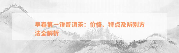 早春第一饼普洱茶：价格、特点及辨别方法全解析