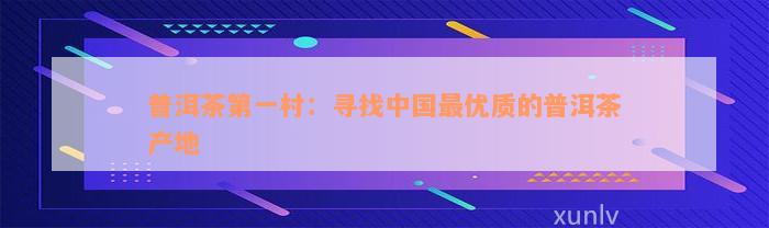 普洱茶第一村：寻找中国最优质的普洱茶产地