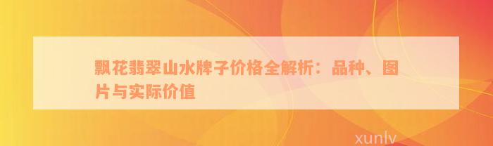 飘花翡翠山水牌子价格全解析：品种、图片与实际价值