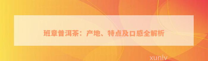 班章普洱茶：产地、特点及口感全解析