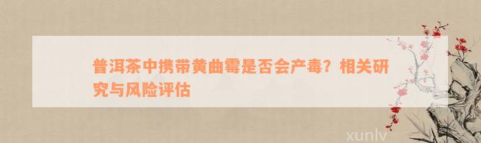 普洱茶中携带黄曲霉是否会产毒？相关研究与风险评估