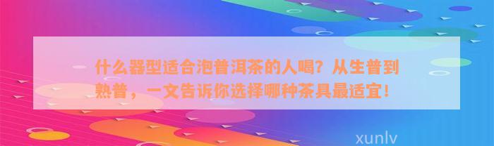 什么器型适合泡普洱茶的人喝？从生普到熟普，一文告诉你选择哪种茶具最适宜！