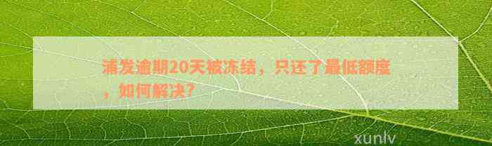 浦发逾期20天被冻结，只还了最低额度，如何解决?