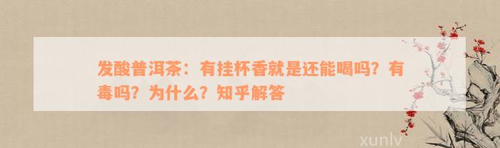 发酸普洱茶：有挂杯香就是还能喝吗？有毒吗？为什么？知乎解答