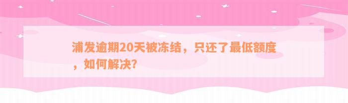 浦发逾期20天被冻结，只还了最低额度，如何解决？