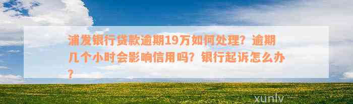 浦发银行贷款逾期19万如何处理？逾期几个小时会影响信用吗？银行起诉怎么办？