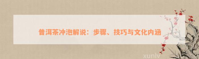 普洱茶冲泡解说：步骤、技巧与文化内涵