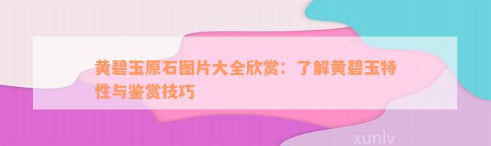 黄碧玉原石图片大全欣赏：了解黄碧玉特性与鉴赏技巧