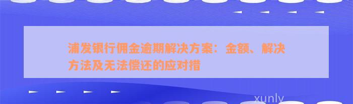 浦发银行佣金逾期解决方案：金额、解决方法及无法偿还的应对措