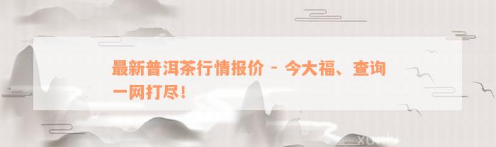 最新普洱茶行情报价 - 今大福、查询一网打尽！