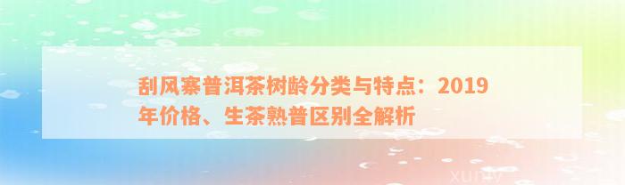 刮风寨普洱茶树龄分类与特点：2019年价格、生茶熟普区别全解析