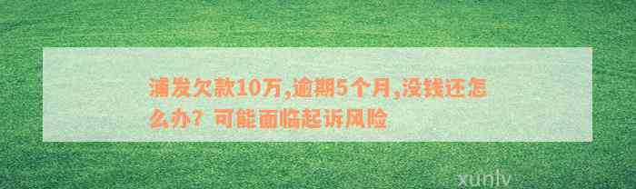 浦发欠款10万,逾期5个月,没钱还怎么办？可能面临起诉风险