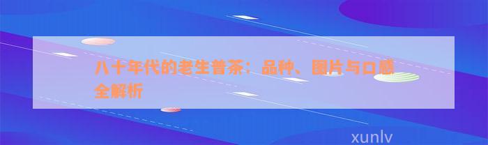 八十年代的老生普茶：品种、图片与口感全解析