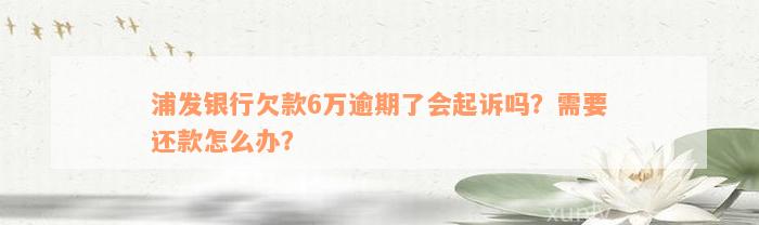 浦发银行欠款6万逾期了会起诉吗？需要还款怎么办？